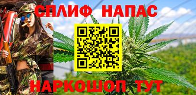 индика Коммунар