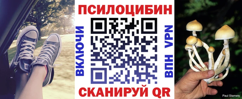Псилоцибиновые грибы MAGIC MUSHROOMS  блэк спрут сайт  Калининград 