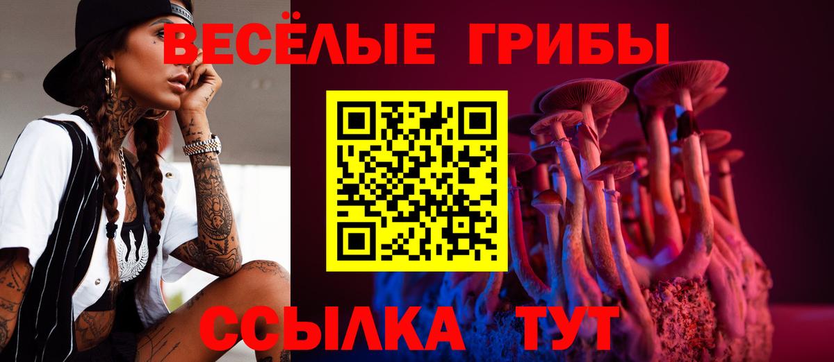 Псилоцибиновые грибы GOLDEN TEACHER  Галлюциногенные грибы Psilocybe  магазин продажи наркотиков  Калининград  Вход с VPN 