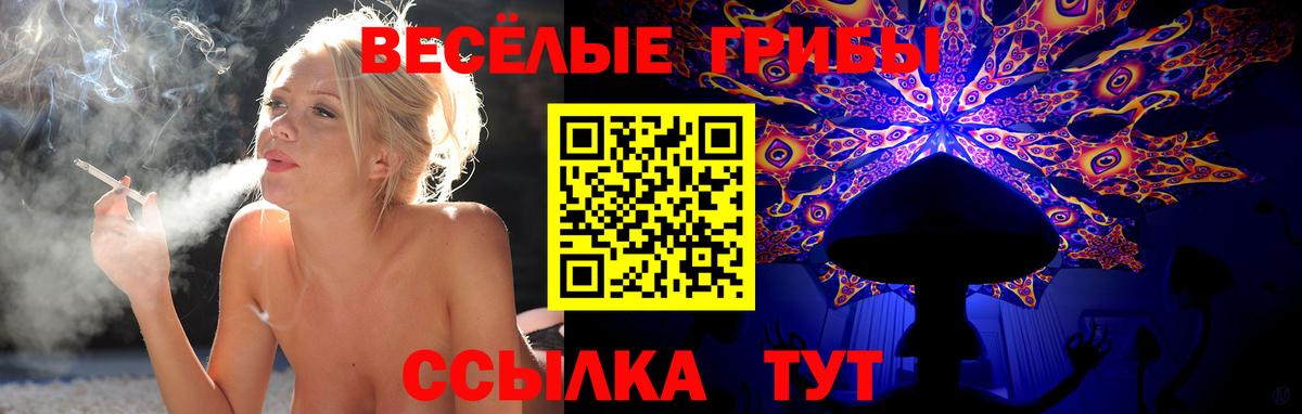 Псилоцибиновые грибы MAGIC MUSHROOMS Калининград
